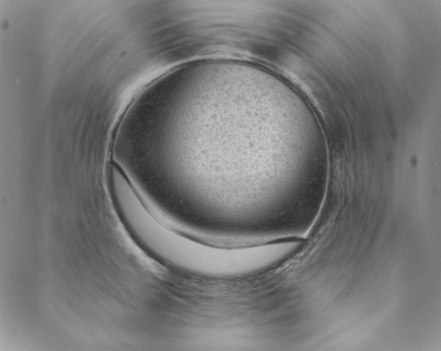 X0000088611379200706081423