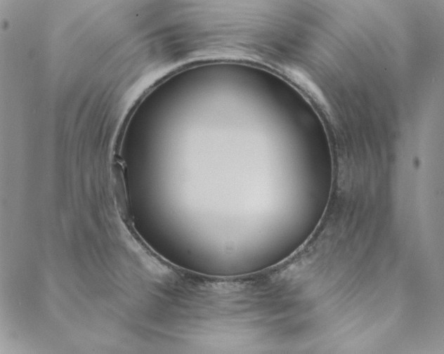 X0000088611380200706081423