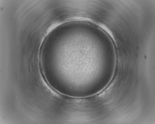 X0000088611381200706081423