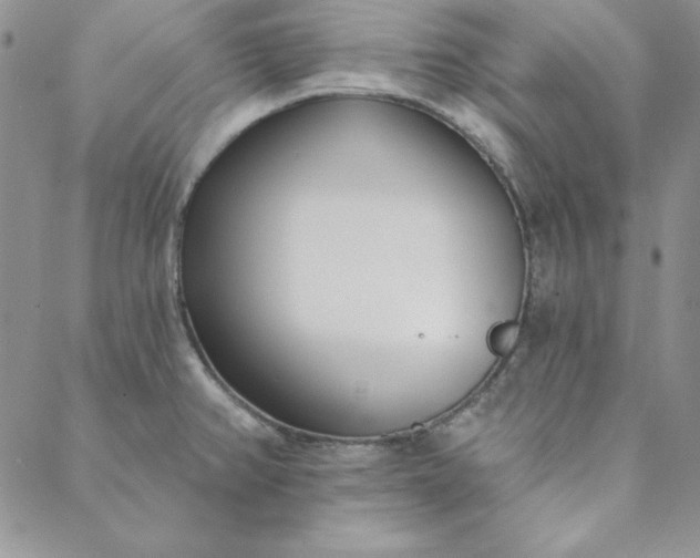 X0000088611382200706081423