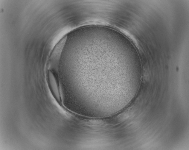 X0000088611383200706081423