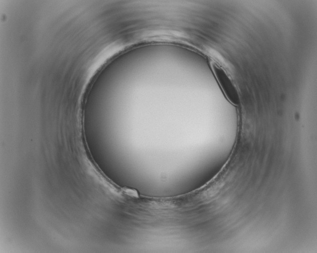 X0000088611384200706081423