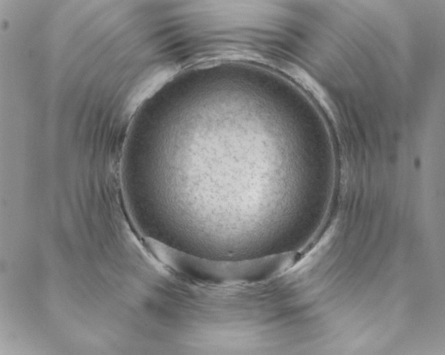 X0000088611385200706081423