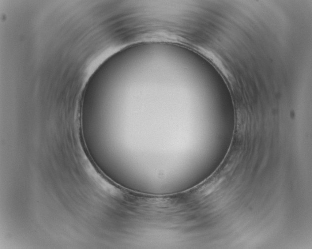 X0000088611387200706081423