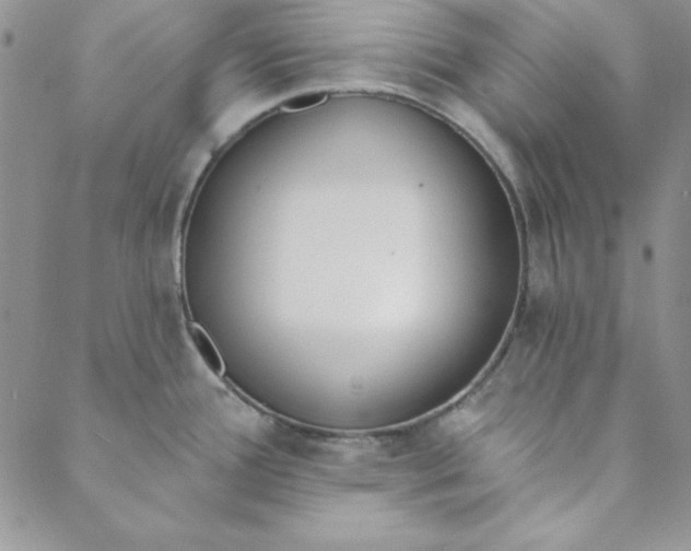 X0000088611388200706081423