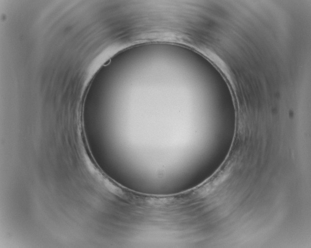 X0000088611389200706081423