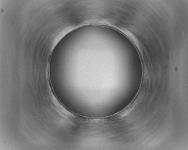 X0000088611390200706081423