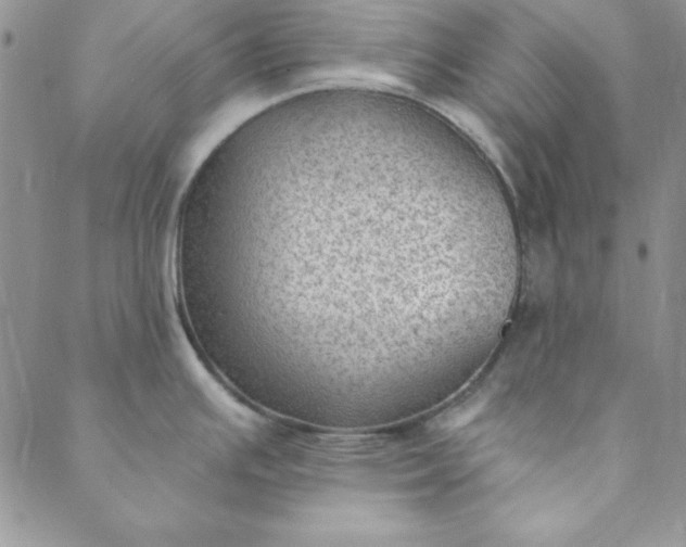 X0000088611391200706081423