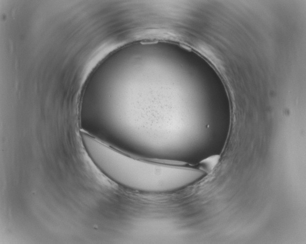 X0000088611392200706081423