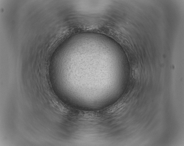 X0000088611393200706081422