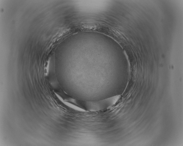 X0000088611394200706081422