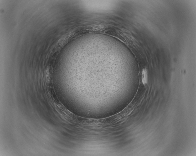 X0000088611395200706081422