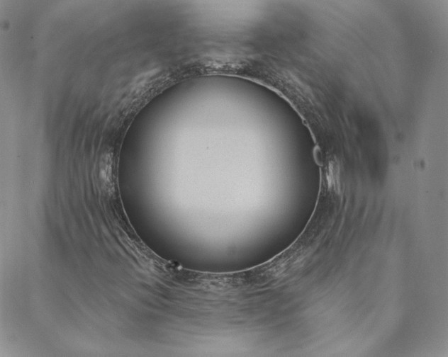 X0000088611396200706081422