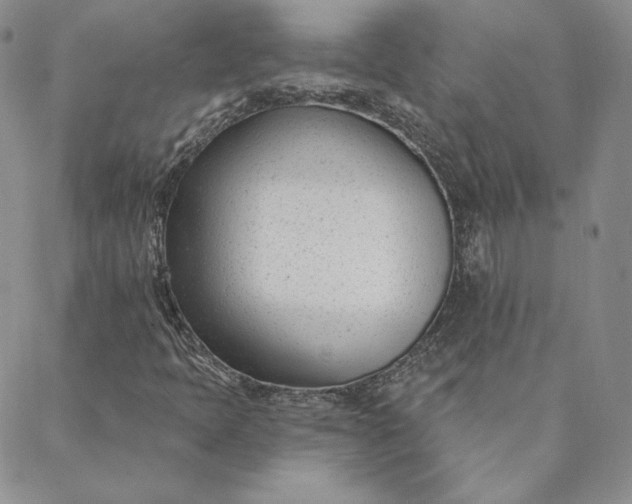 X0000088611397200706081422