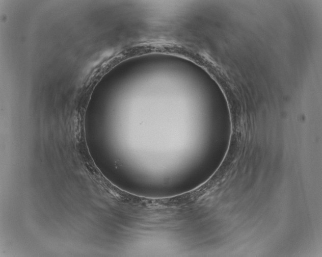 X0000088611398200706081422