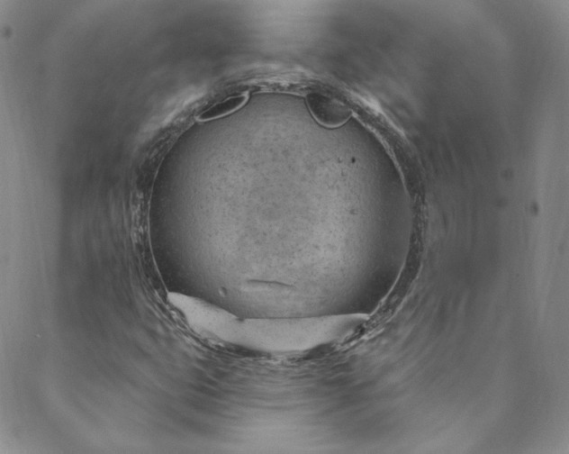 X0000088611399200706081422