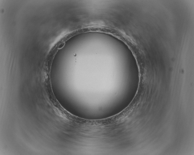 X0000088611400200706081422