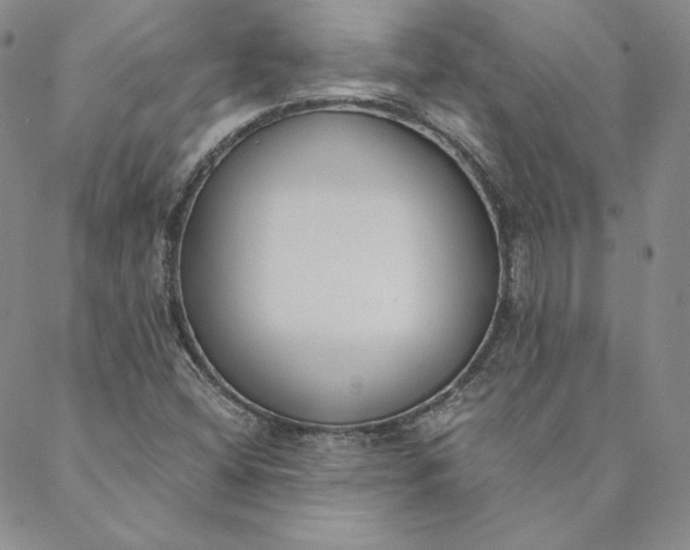 X0000088611404200706081423