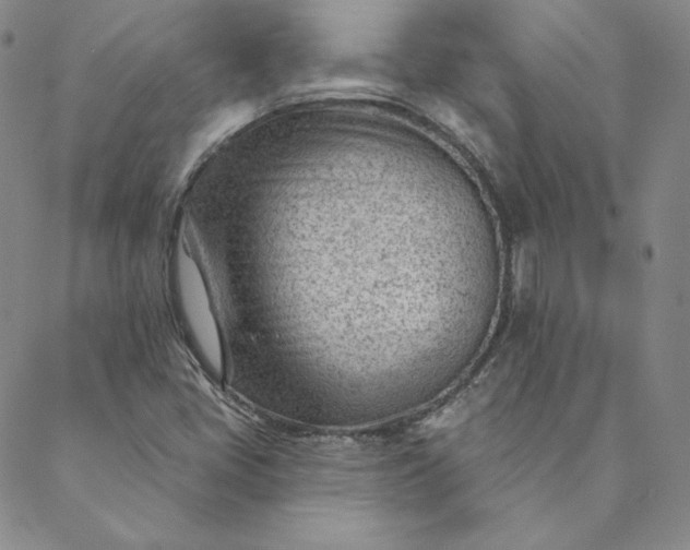 X0000088611405200706081423