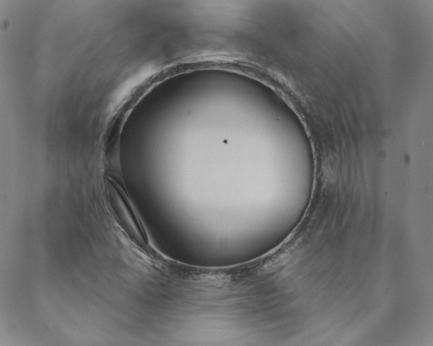 X0000088611406200706081423