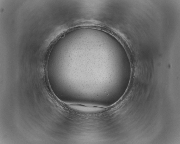 X0000088611407200706081423