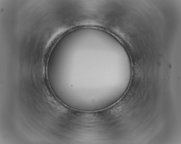 X0000088611408200706081423