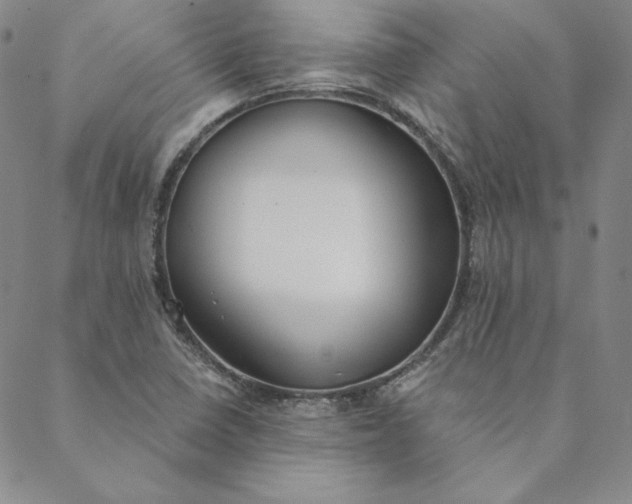 X0000088611410200706081423