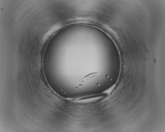 X0000088611411200706081423