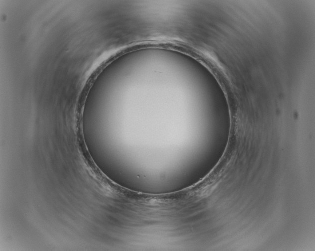 X0000088611412200706081423