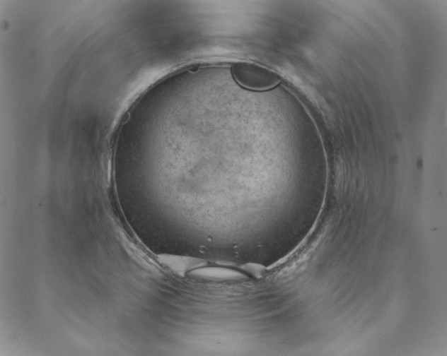 X0000088611413200706081423