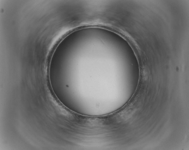 X0000088611416200706081423