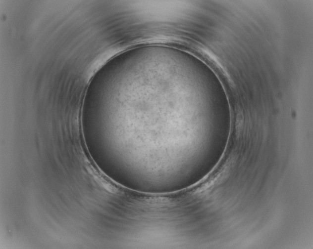 X0000088611417200706081423