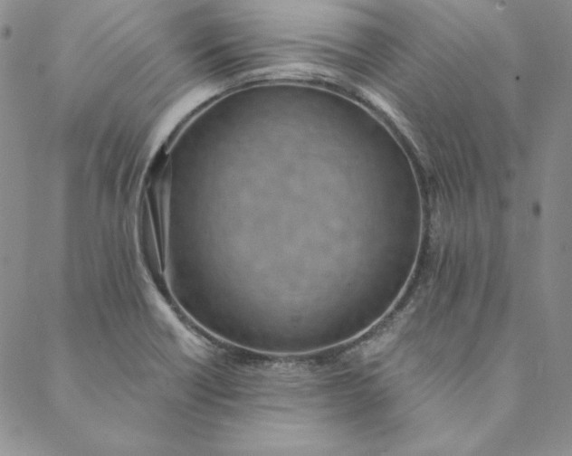 X0000088611418200706081423