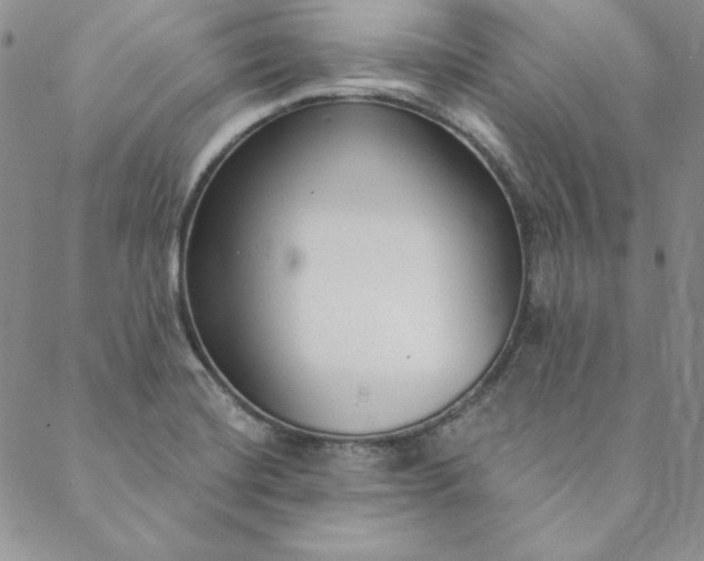 X0000088611420200706081423