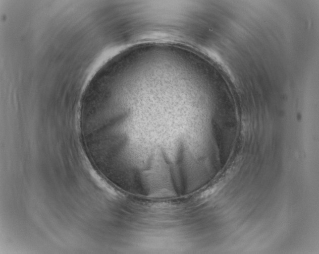 X0000088611421200706081423