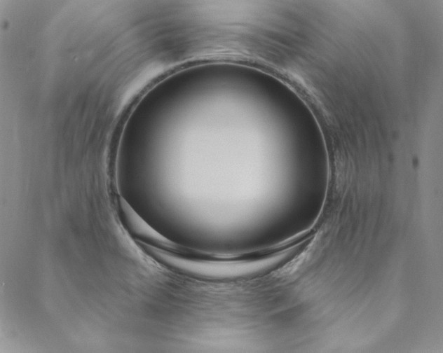 X0000088611422200706081423