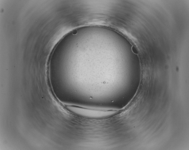 X0000088611423200706081423