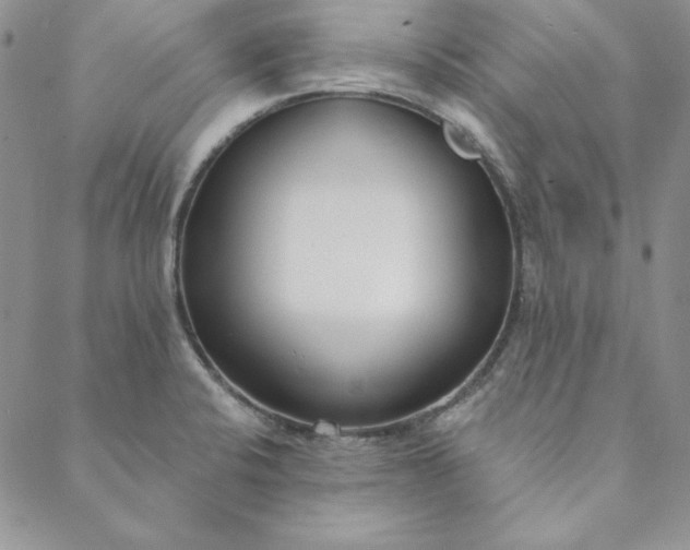 X0000088611424200706081423