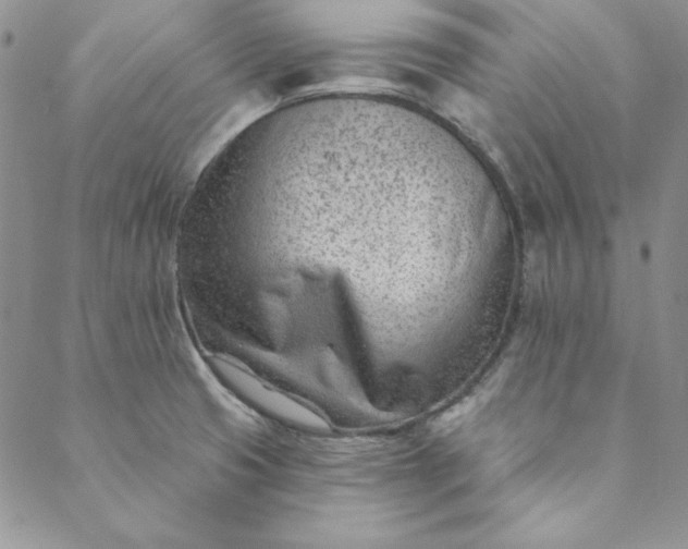 X0000088611425200706081423