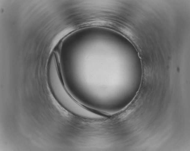 X0000088611426200706081423