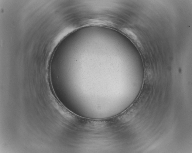 X0000088611427200706081423