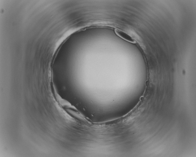 X0000088611428200706081423