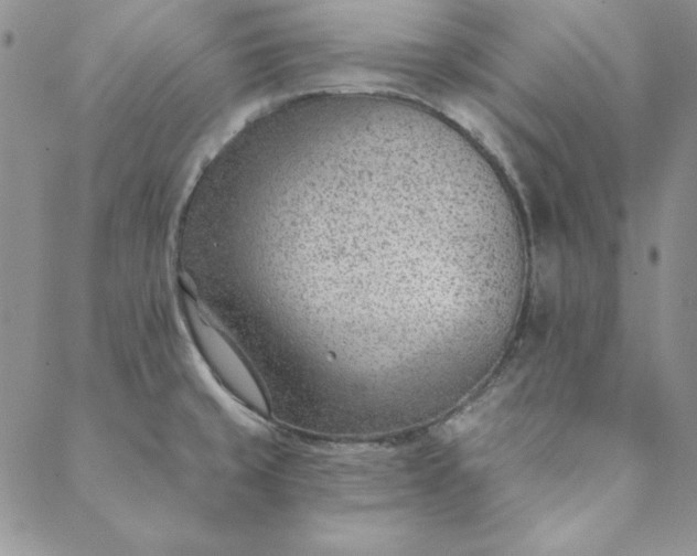 X0000088611429200706081423