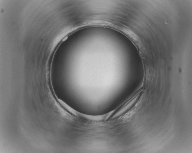 X0000088611430200706081423