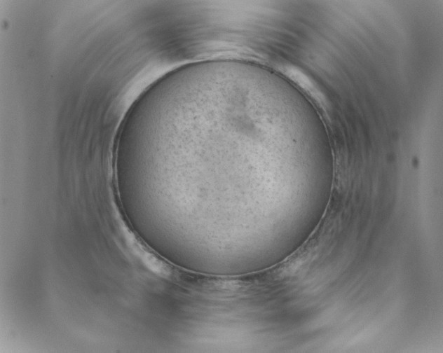 X0000088611431200706081423