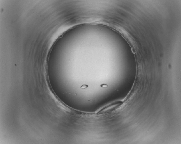 X0000088611432200706081423