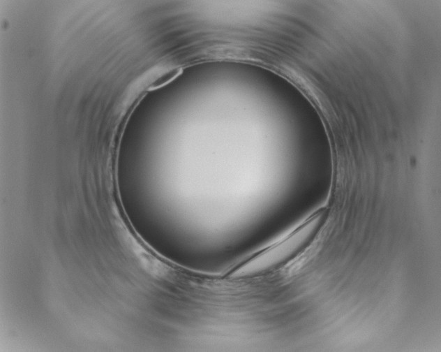 X0000088611434200706081423