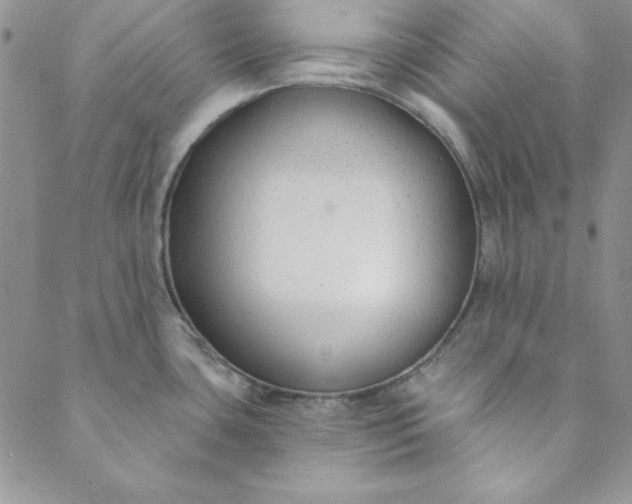 X0000088611435200706081423