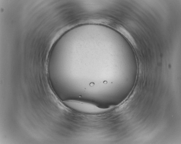 X0000088611436200706081423