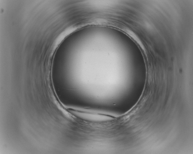 X0000088611437200706081423